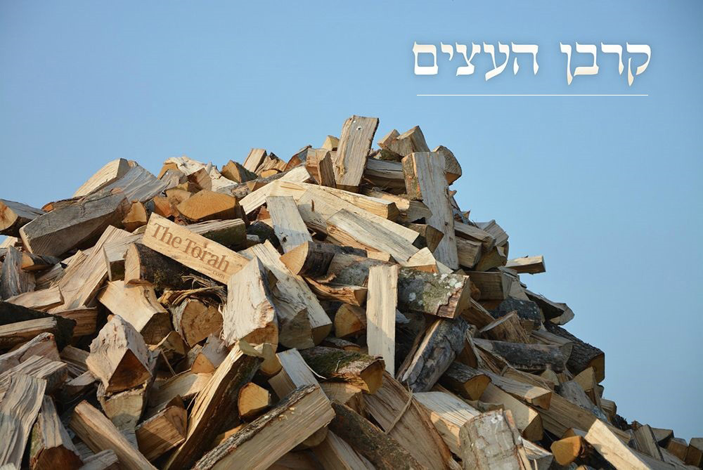 The Wood Offering Celebration – “As Written in the Torah”
