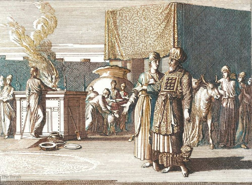 “This Is the Torah” for the Priests Performing the Offerings