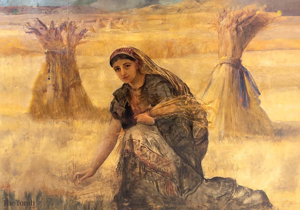 The Dark Side of the Book of Ruth: Sexual Harassment in the Field