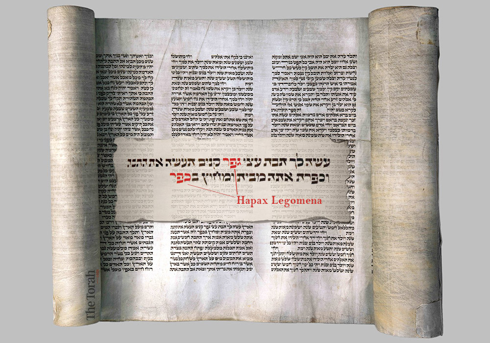 Hapax Legomena: Ten Biblical Examples