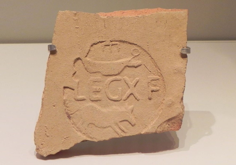 Why Rome Is Likened to a Boar
