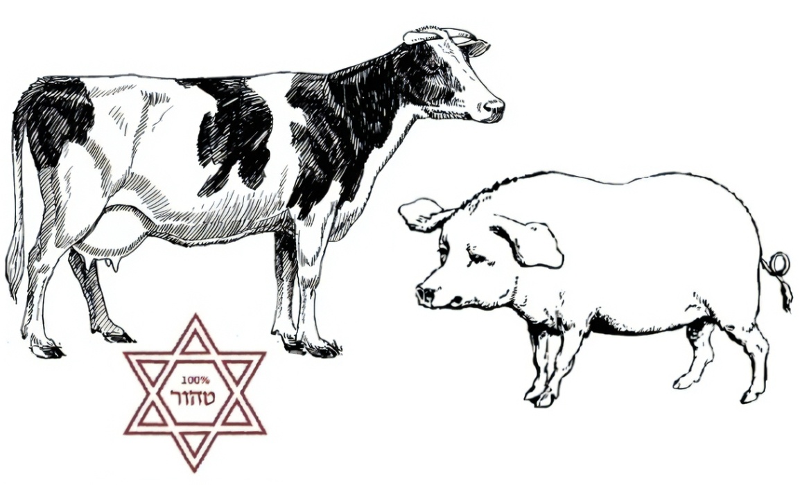 The Animal Laws Before Kashrut: A System of Purity