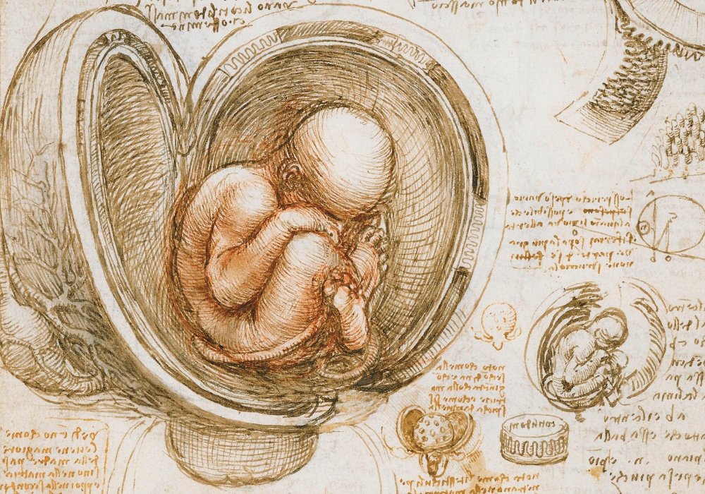 Biblically, How Are Babies Conceived?