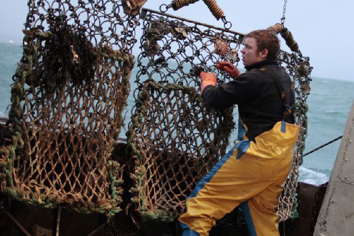 Clearing the nets aboard a scallop dredger. Picture: Getty