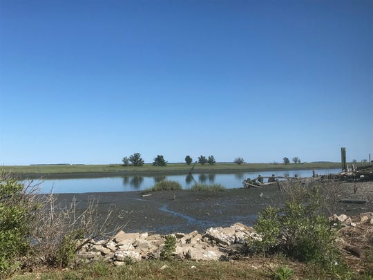 Marshland near Wachapreague, Virginia is the subject of proposed beneficial use of dredge spoils by the U. S. Army Corps of Engineers.