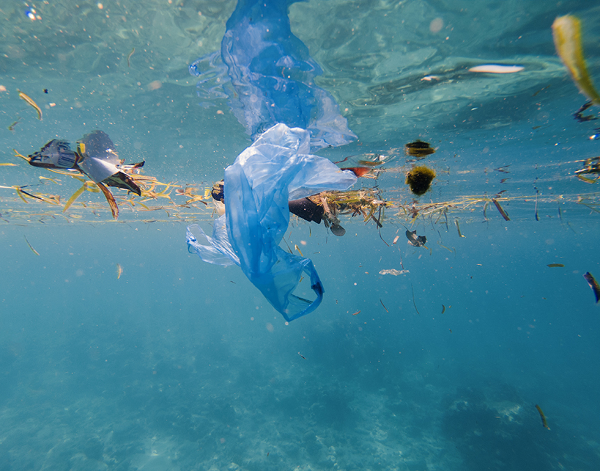 Straws, retail bags, and other single-use plastics account for some 80 percent of Rhode Island’s marine debris. (istock)