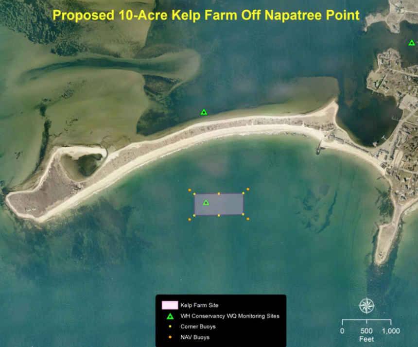 The proposed site of a kelp farm in Westerly, R.I., would be less than 1,000 feet from the shores of Napatree Point, a protected conservation area. (The Watch Hill Conservancy)