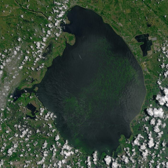 A 2016 blue-green algae bloom in Lake Okeechobee. (Photo by Joshua Stevens for the NASA Earth Observatory)