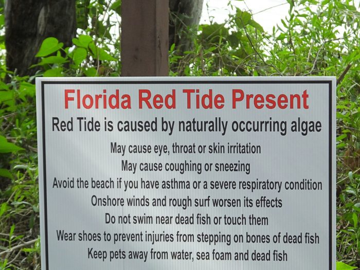 warning sign about florida red tide present