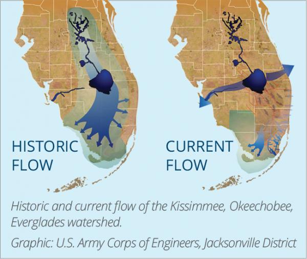 The historic and current flow of the Everglades watershed. (Graphic by the U.S. Army Corps of Engineers)
