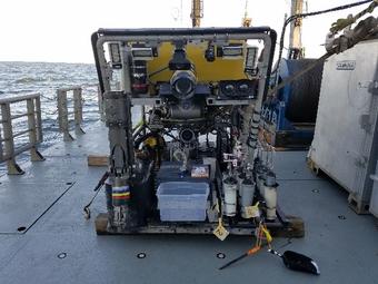 Connectivity of Coral Ecosystems ROV