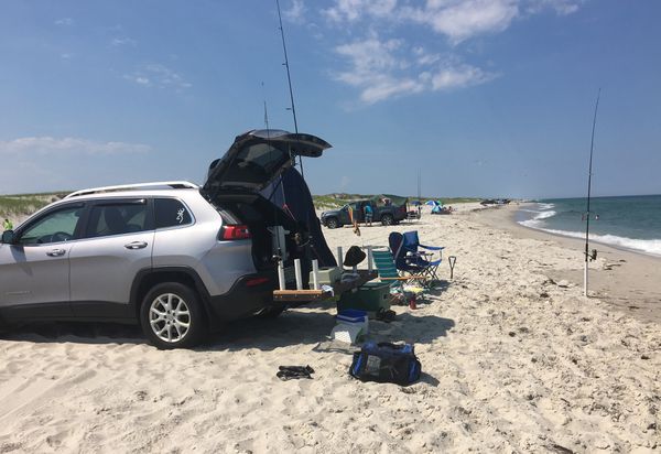 Tailgate fishing is a favorite passtime at Island Beach State Park, where vehicles are allowed onto the sand and surf fisherman back up almost to the shore break to catch stripers of bluefish.