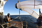 1188x792-plankton-net-retrieval-2019-ne-ecomon-cruise.png