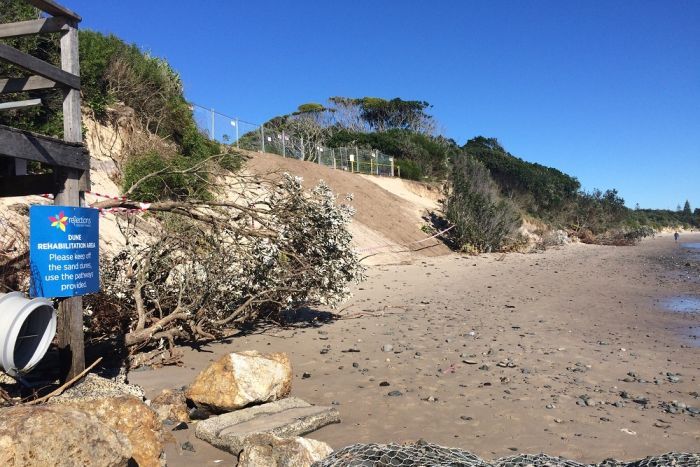 Severe erosion of sand dunes at Byron Bay's Clarkes Beach.
