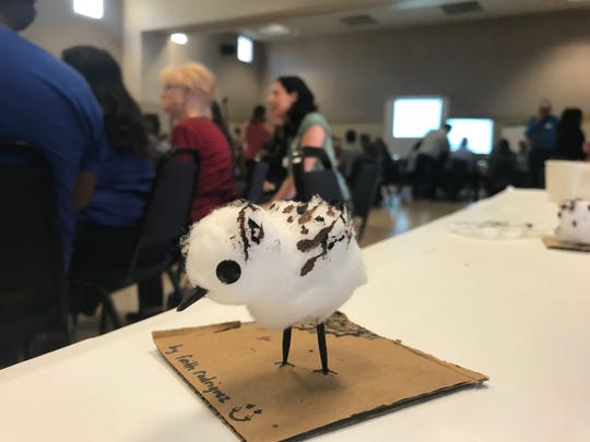Children who attended a meeting on Ormond Beach restoration last week in Oxnard participated in an art project and turned cotton balls into snowy plovers. The birds call Ormond Beach home and nest there in mid-March.