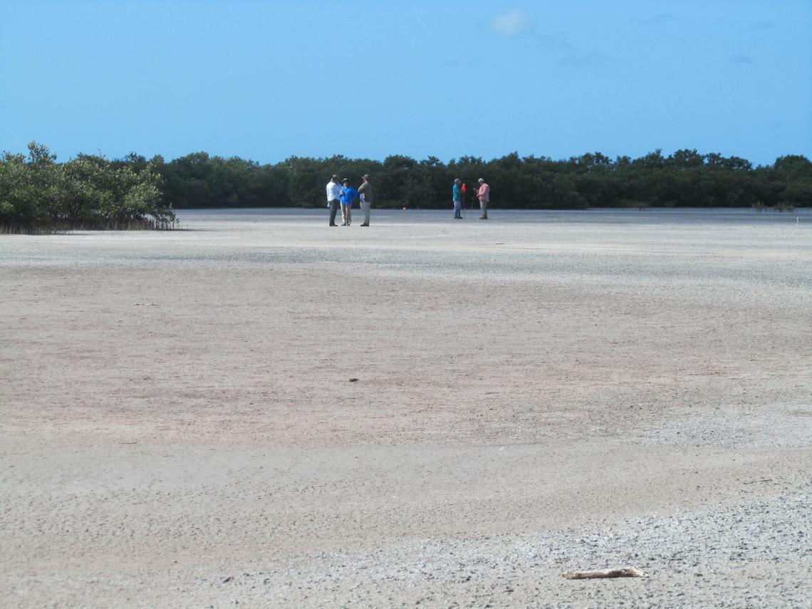 Field crews on a Florida Bay island