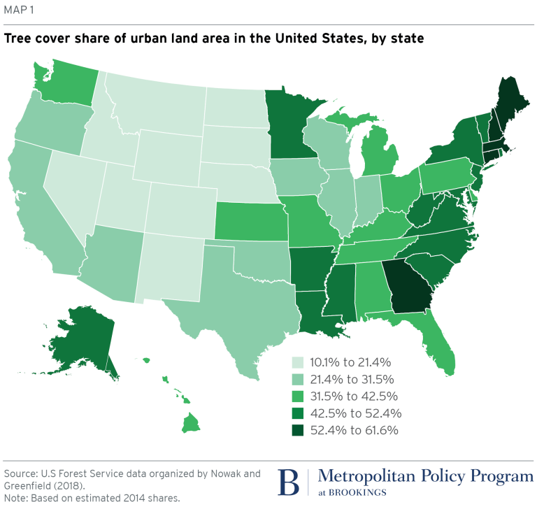 Map: Tree cover share of urban land area in the U.S.