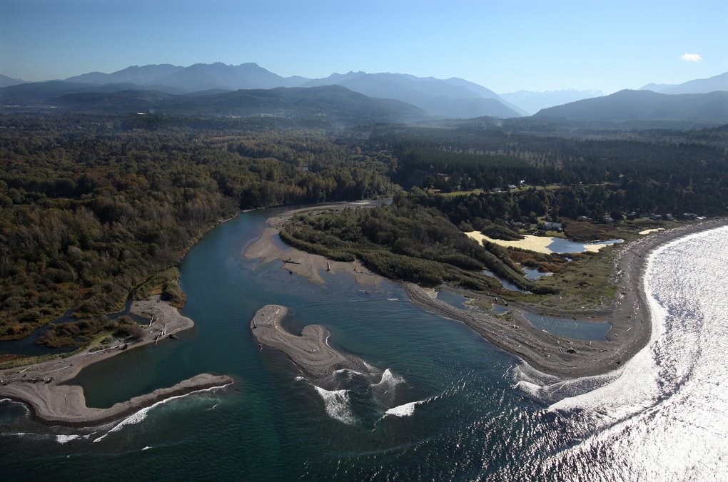 In 2010, the mouth of the Elwha was expected to change when the dams come out and more than 24 million cubic yards of sediment impounded behind the dams were unleashed. (Anne Shaffer and CWI )