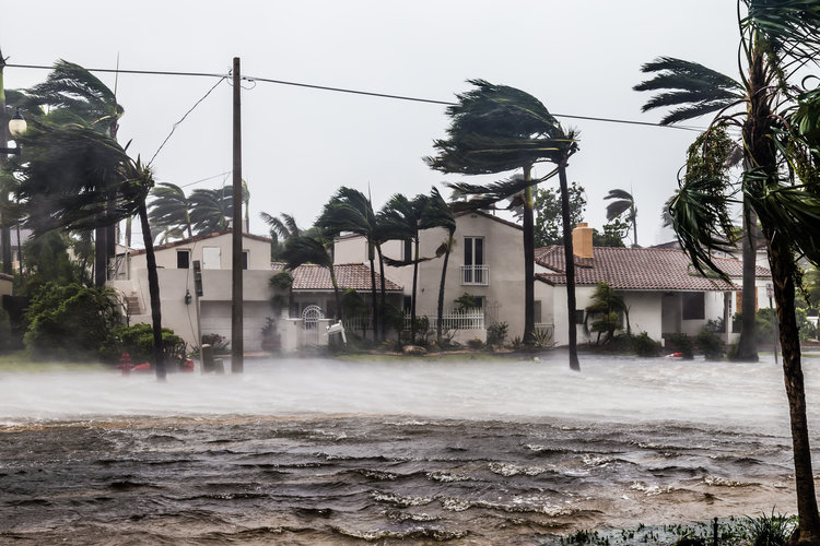 Hurricane Irene flood