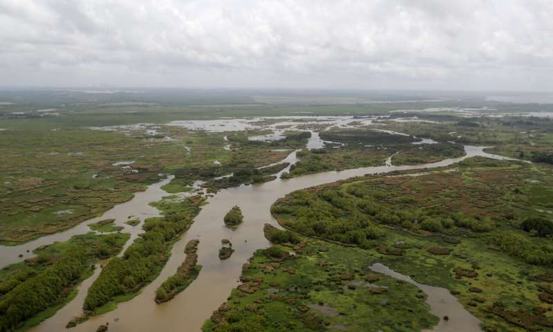 Louisiana hopes to fight coast erosion by mimicking nature
