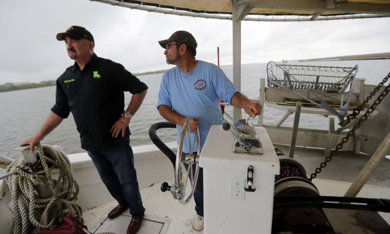Louisiana hopes to fight coast erosion by mimicking nature