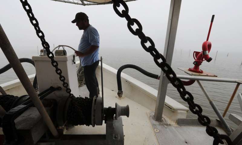 Louisiana hopes to fight coast erosion by mimicking nature