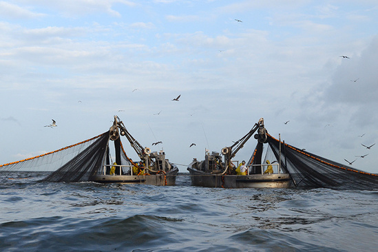 Two fishing boats off the Louisiana coast