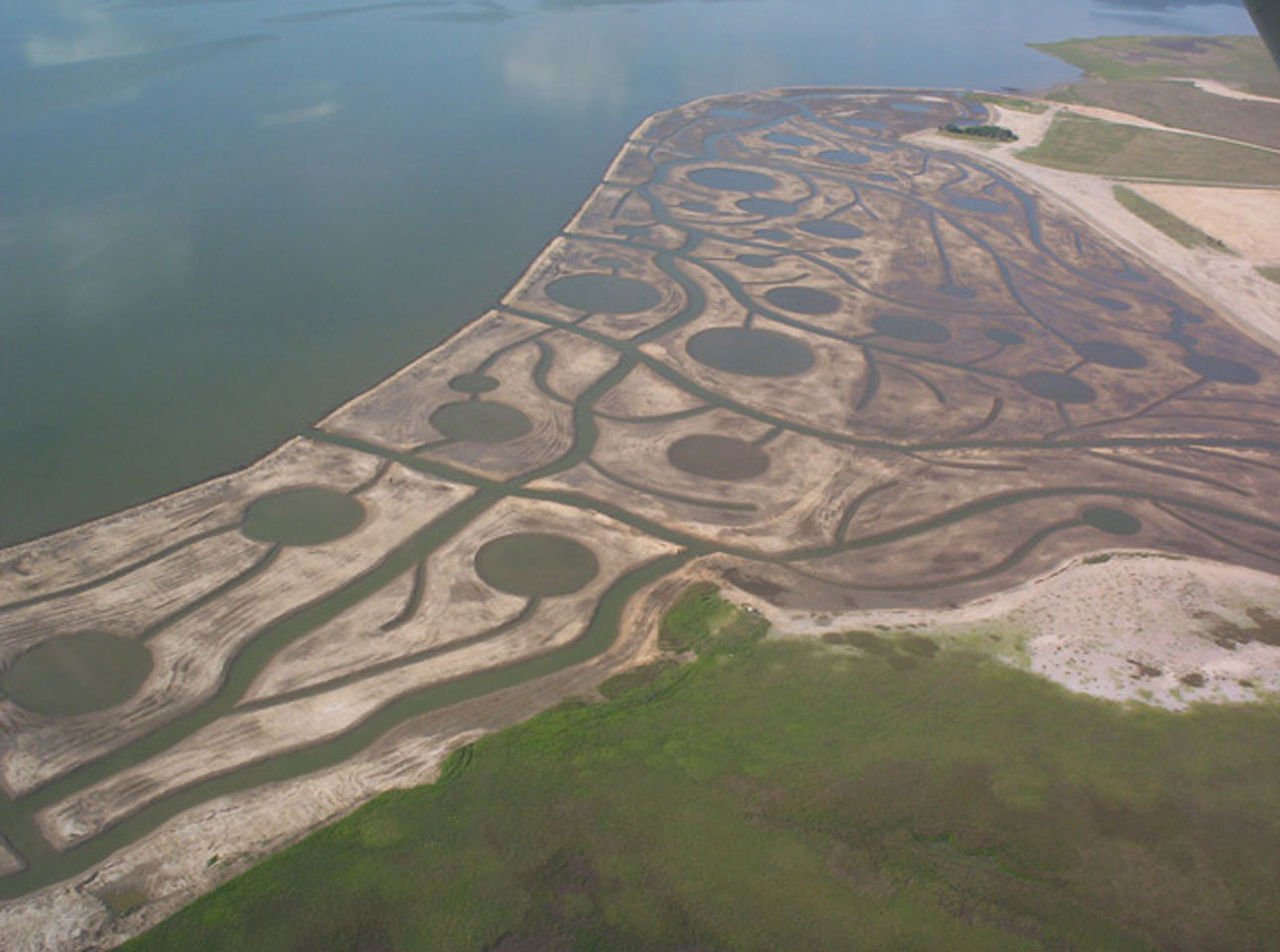Coastal News Today | TX - Shrimper begins hunger strike to pressure Biden Administration to withdraw Matagorda Bay, TX dredging permit for oil exports - Vimarsana News
