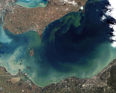 Coastal News Today | USA - WHOI and NOAA Release Report on U.S. Socio-economic Effects of Harmful Algal Blooms - Vimarsana News