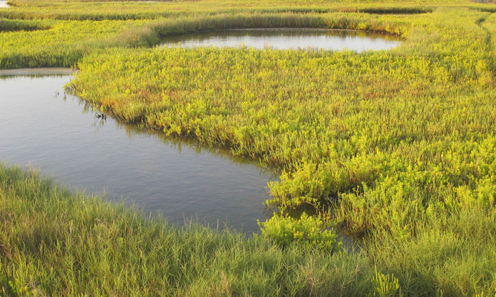 Coastal News Today | TX - RESTORE Act to Restore Coastal Bend Waters - Vimarsana News