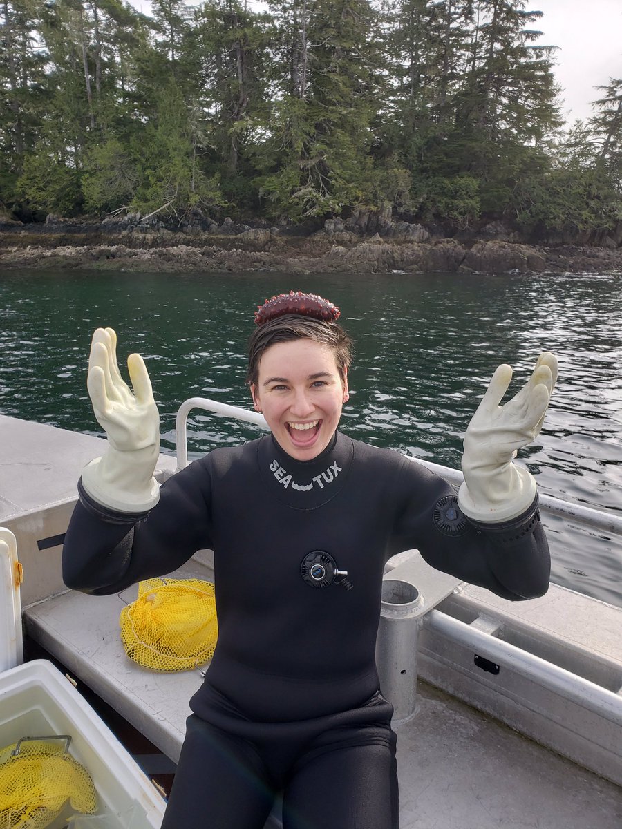 Em Lim on Twitter: "Right now I'm messing around with sea cucumber pee for my masters, and this is probably the best photo of me that's ever been taken!… https://t.co/ihWTkuuzVw"