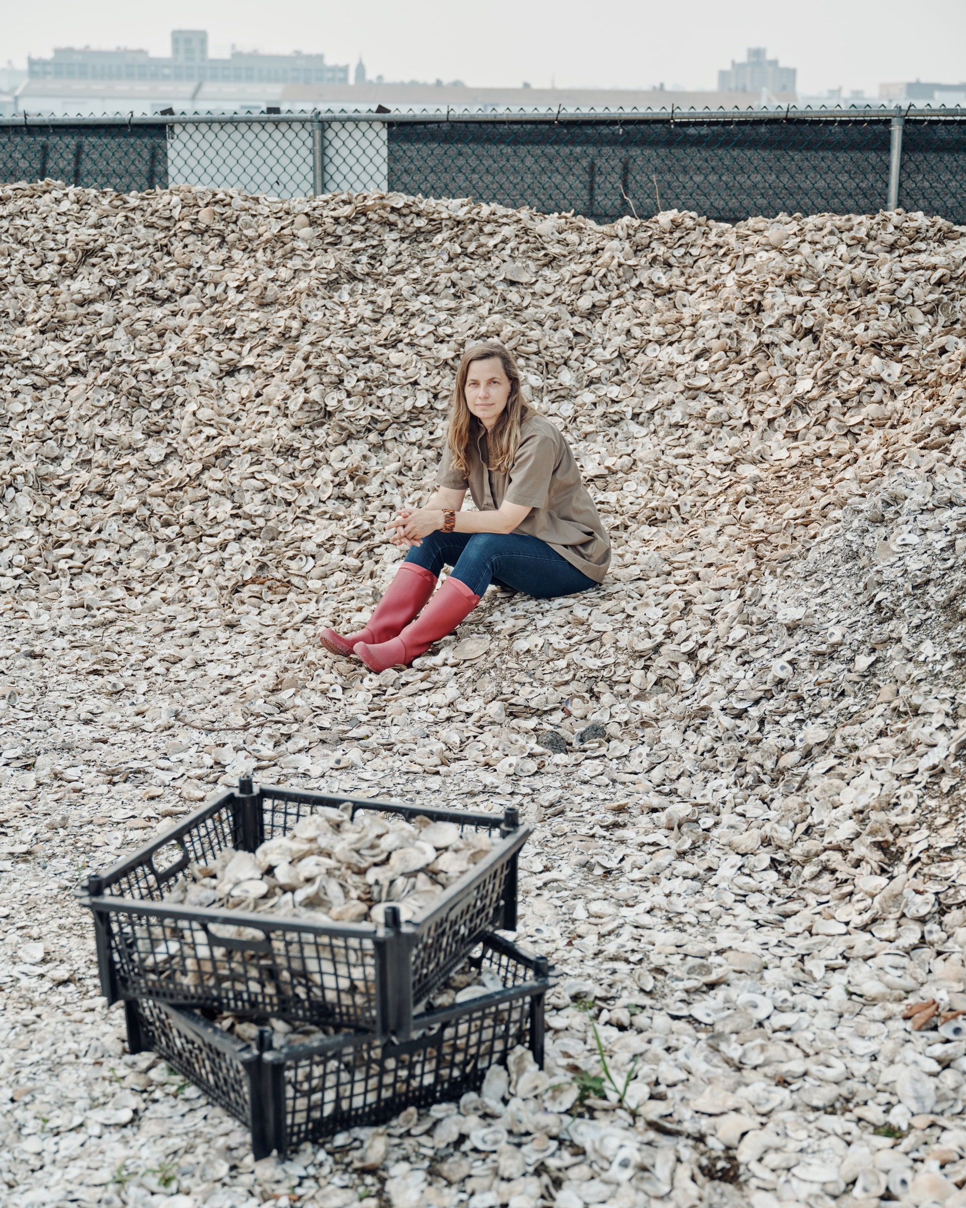 Coastal News Today | NY - The Seas Are Rising. Could Oysters Help? - Vimarsana News
