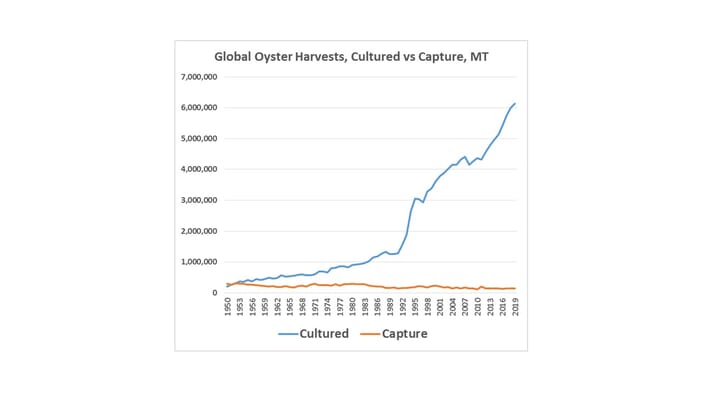Global oyster production, covering wild-harvests and aquacultured oysters - since 1950 (click on image to enlarge)