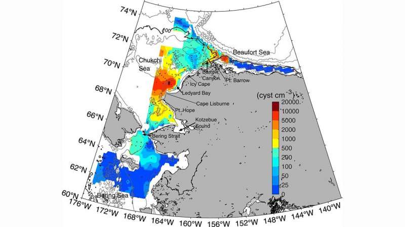 Study finds growing potential for toxic algal blooms in the Alaskan Arctic