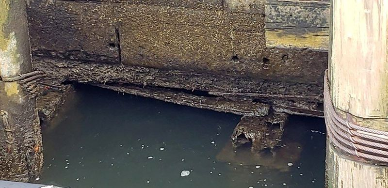 The company that operates ferries to the Statue of Liberty and Ellis Island is looking for a new home since slips 4 and 5 at Battery Park were shut down due to structural damage.