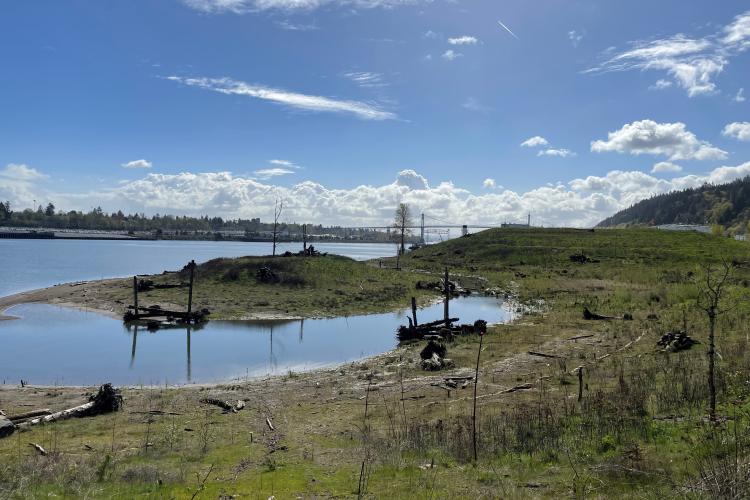 View from the hillside of the Linnton Mill restoration project, including large wood structures providing shelter for salmonids in newly restored off channel habitat. Credit: NOAA