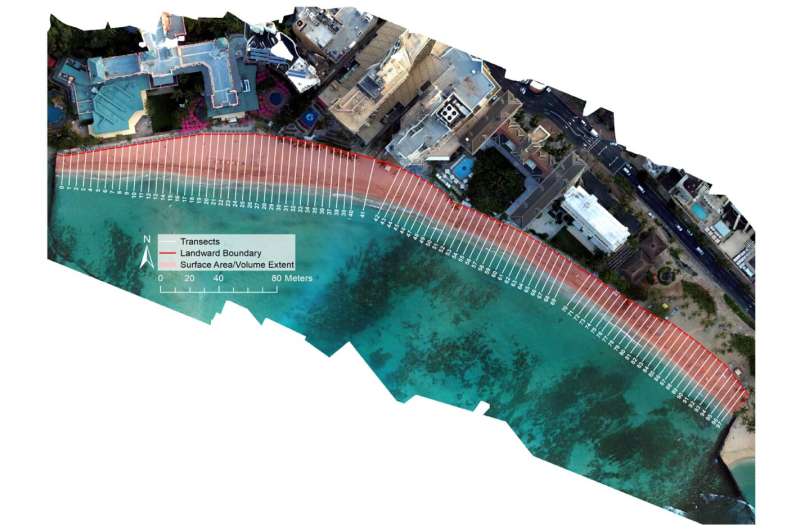 Waikīkī Beach studies reveal complex drivers of changing shoreline