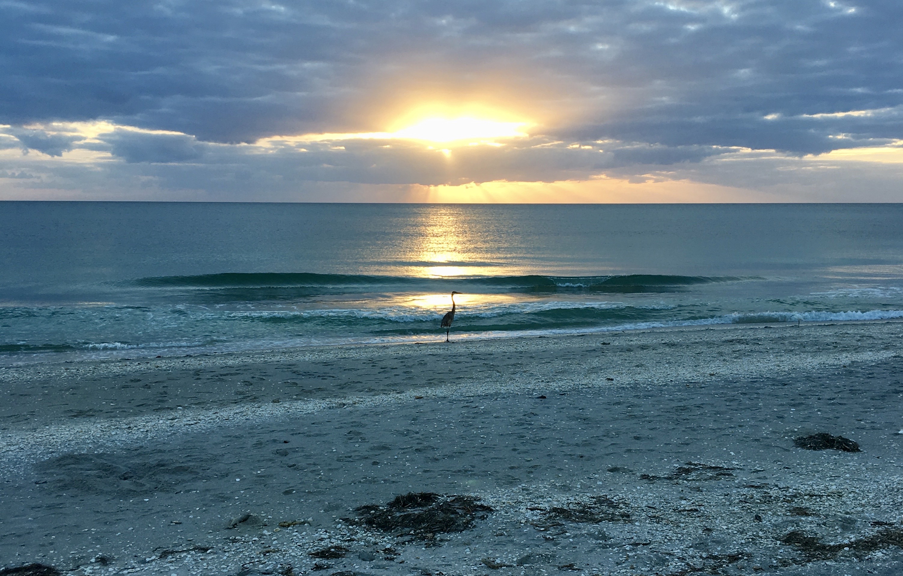 Coastal News Today | FL - Update on Florida Department of Environmental Protection's (DEP) Historic Shoreline Database - Vimarsana News