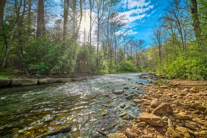 Coastal News Today | USA - A machine learning approach to freshwater analysis - Vimarsana News