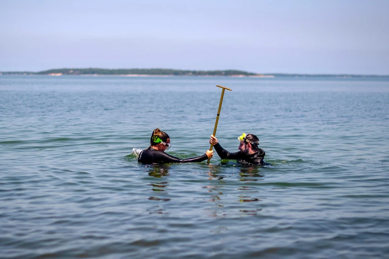 Coastal News Today | NY - Start-ups are adding antacids to the ocean to slow global warming. Will it work? - Vimarsana News