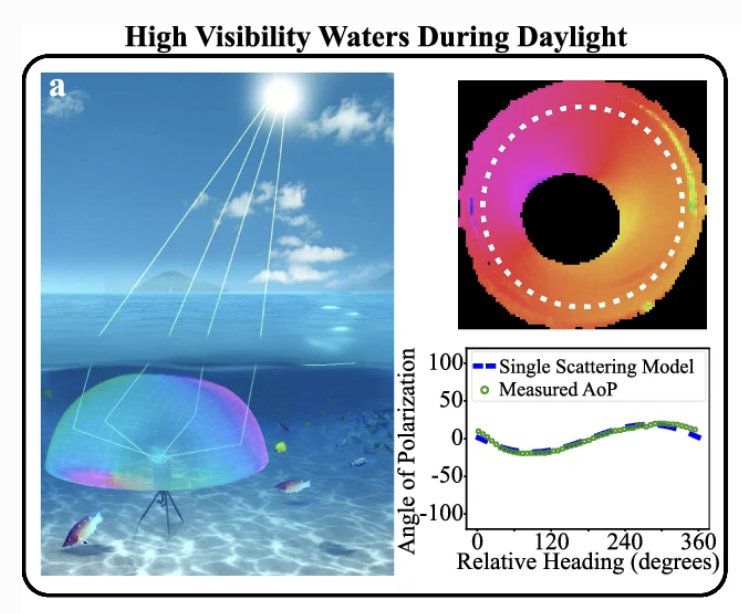 Coastal News Today | World - Navigating the future of underwater geolocalization: How polarization patterns enable new technology - Vimarsana News