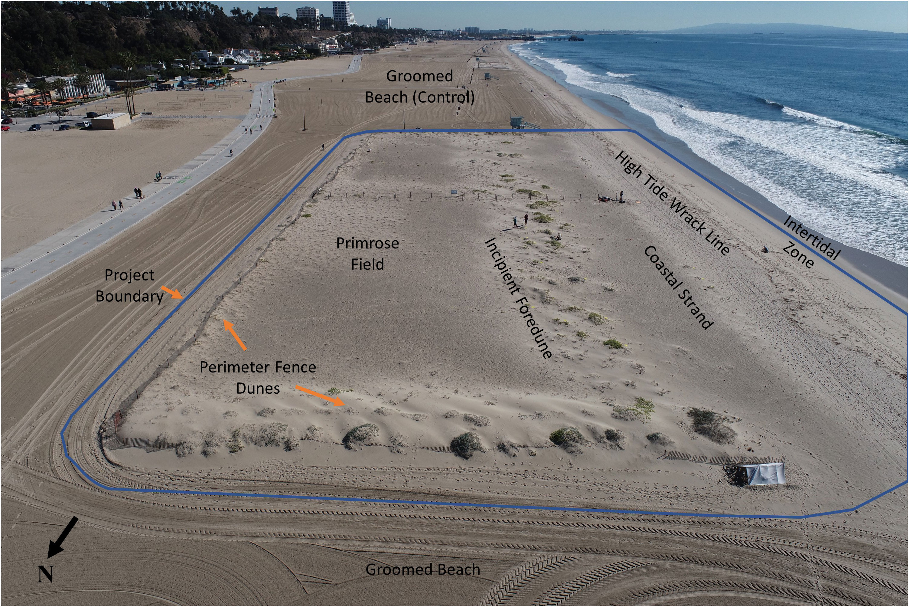 Coastal News Today | CA - Dune restoration could increase the resilience of Southern California's urban beaches to sea level rise - Vimarsana News