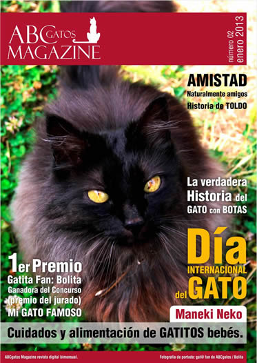 Portada ABCgatos Magazine No.2