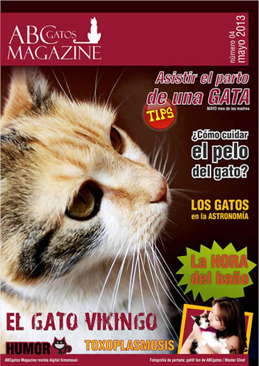 Portada ABCgatos Magazine No.4