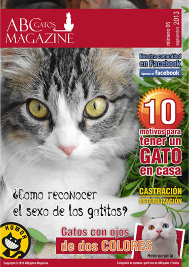 Portada ABCgatos Magazine No.6