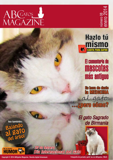 Portada ABCgatos Magazine No.8