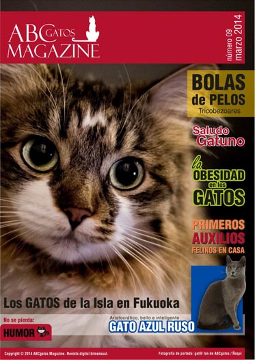 Portada ABCgatos Magazine No.9