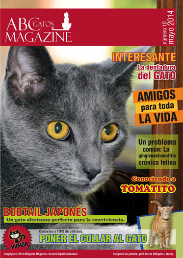 Portada ABCgatos Magazine No.10