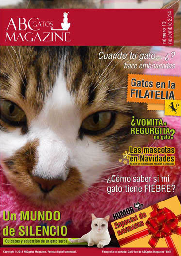 Portada ABCgatos Magazine No.13