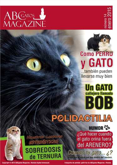 Portada ABCgatos Magazine No.14